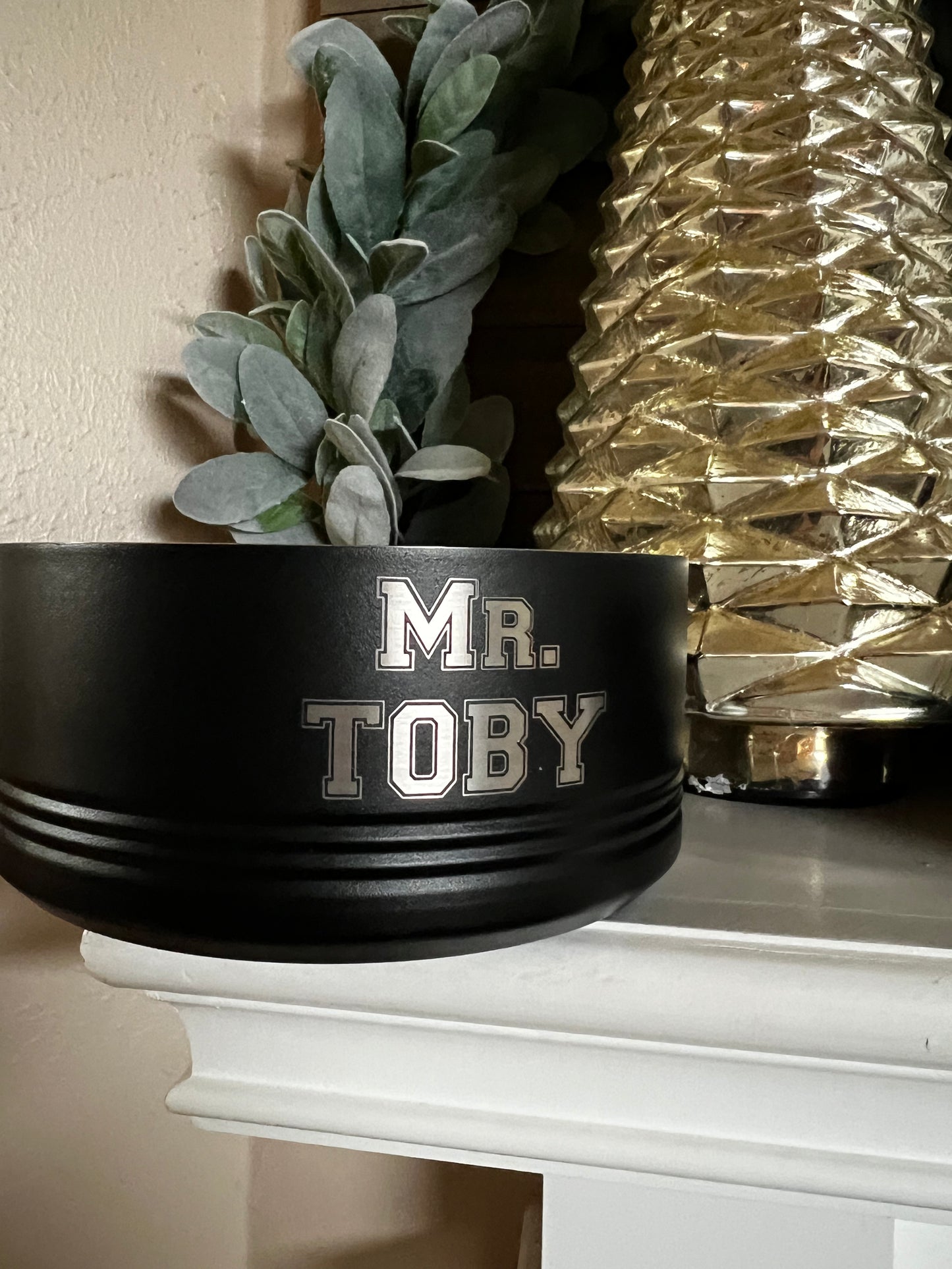 Small Pet Bowl